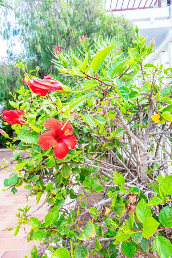 Vivienda Vacacional Rose Costa Teguise Exterior photo